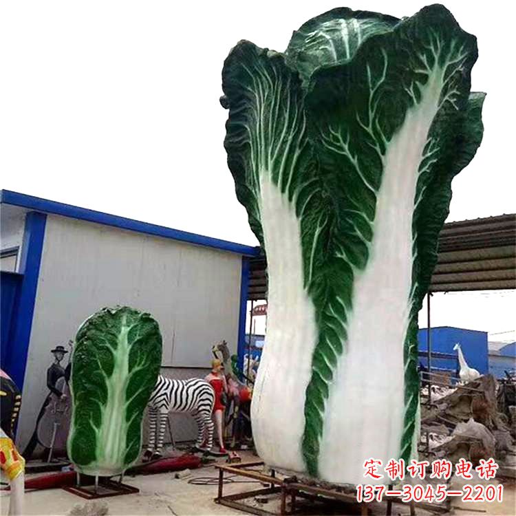 江西白菜艺术——融合植物与艺术的完美结合