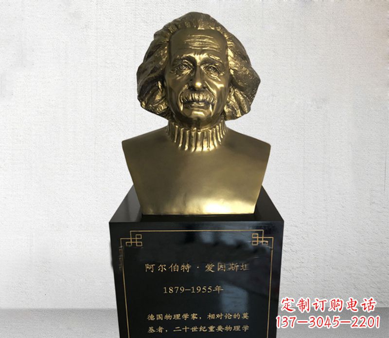 江西爱因斯坦胸像铜雕