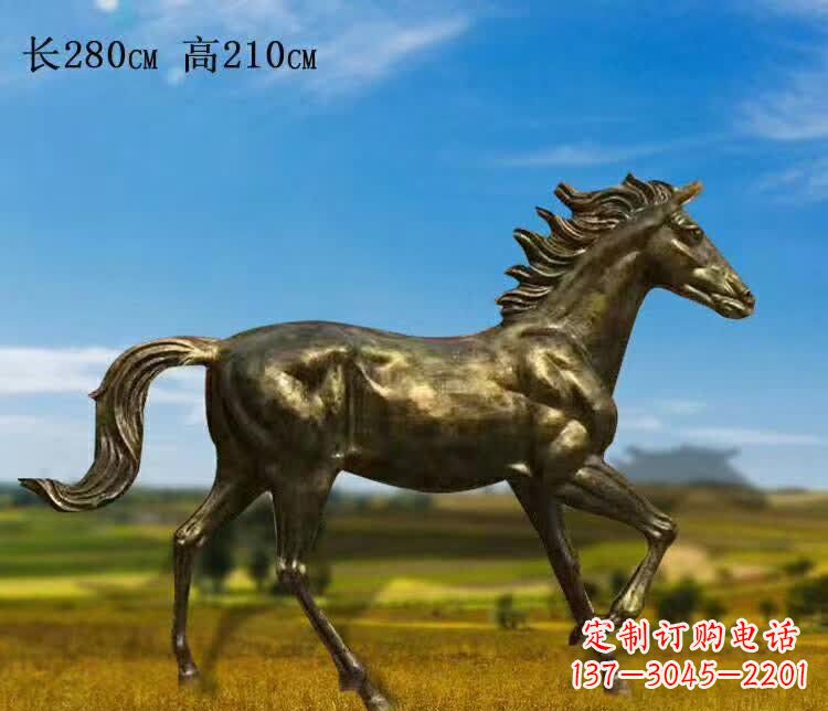 江西新马之精髓