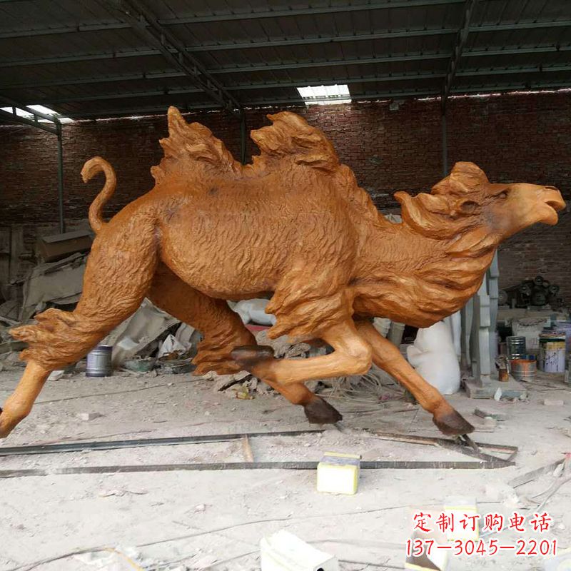 江西活力四射的骆驼