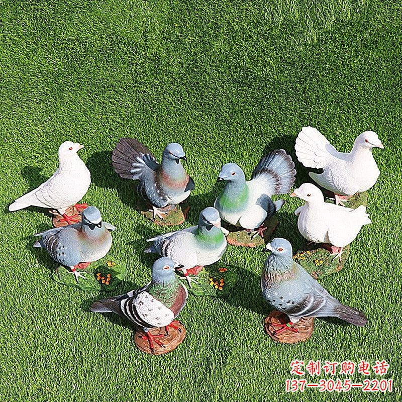 江西和平鸽毕加索激发的美好灵感