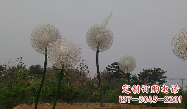 江西蒲公英的绚丽多彩