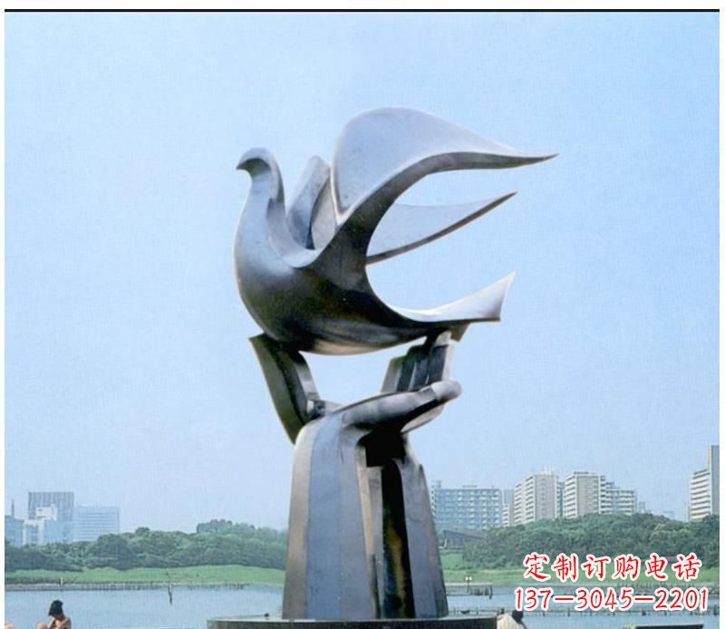江西静谧之鸽，传递和平象征~