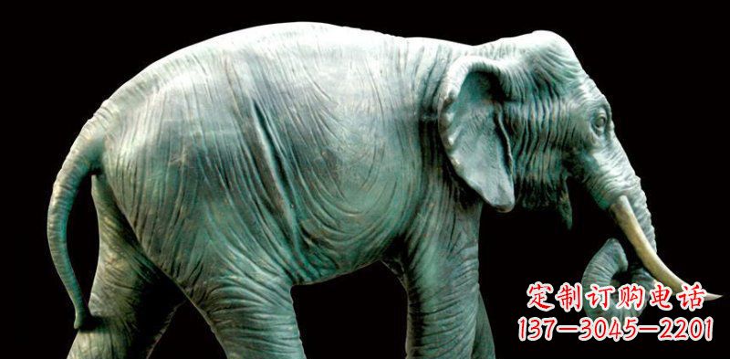 江西公园大象动物铜雕 (3)