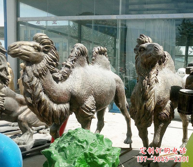 江西公园骆驼动物铜雕 (2)