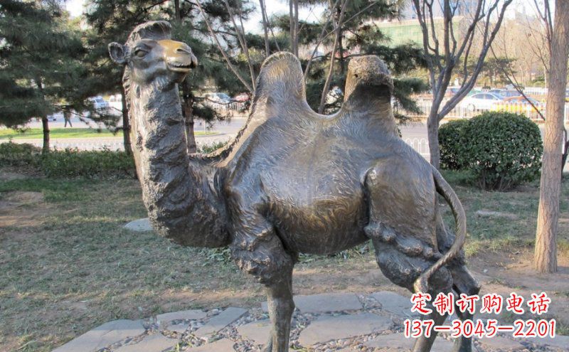 江西公园骆驼动物铜雕 (4)