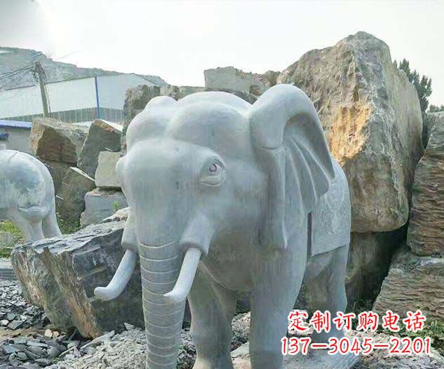 江西广场景观大理石大象石雕 (2)