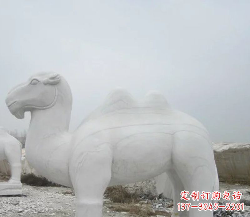 江西汉白玉骆驼石雕塑,装点家居空间