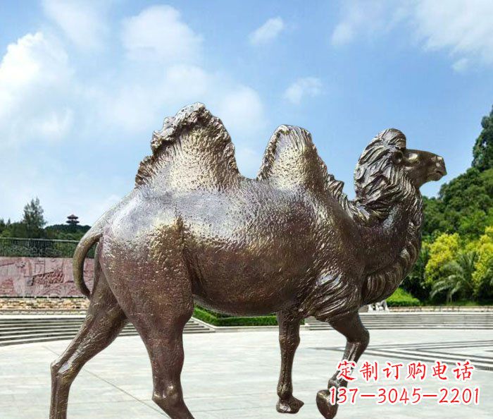 江西欣赏骆驼美感，购买骆驼铜雕