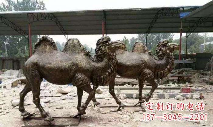 江西典雅优美的骆驼铜雕