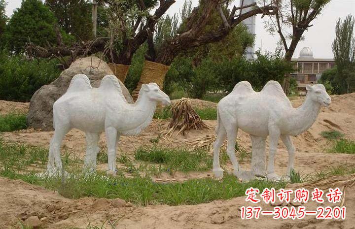 江西欣赏大自然,石雕骆驼公园动物雕塑邀请您