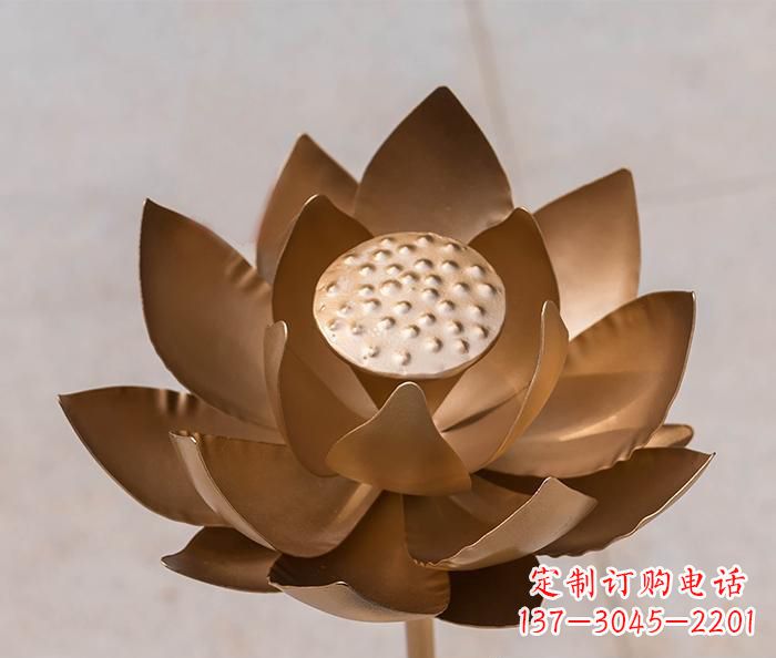江西铜雕景观荷花