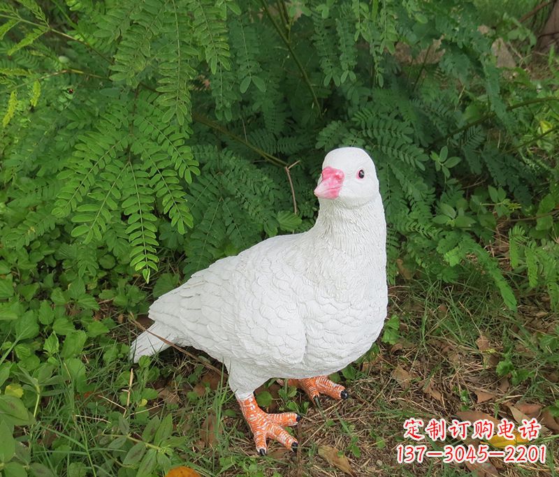 江西潍坊青年路和平鸽灰姑娘雕塑